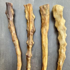 Masticables de cola de búfalo naturales secados al aire para perros: premios proteicos únicos de larga duración, 300 g (5 colas grandes)