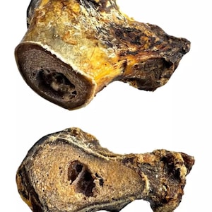 Natural Ostrich Knuckle Bone: Hypoallergenic Dog Chew (2 Pack)