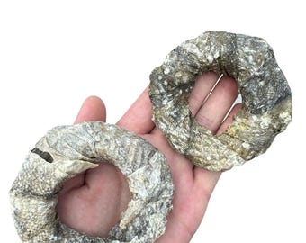 Islandsk vild torskhud för hundar - Munkringar - Ekologiska och naturliga tuggtabletter 150 g