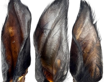3 grandi orecchie pelose di bufalo: snack masticabile per cani naturale e biologico a lunga durata