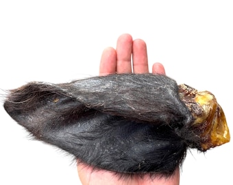 Orecchie di bufalo naturali e pelose: snack da masticare a lunga durata per cani, confezione da 5