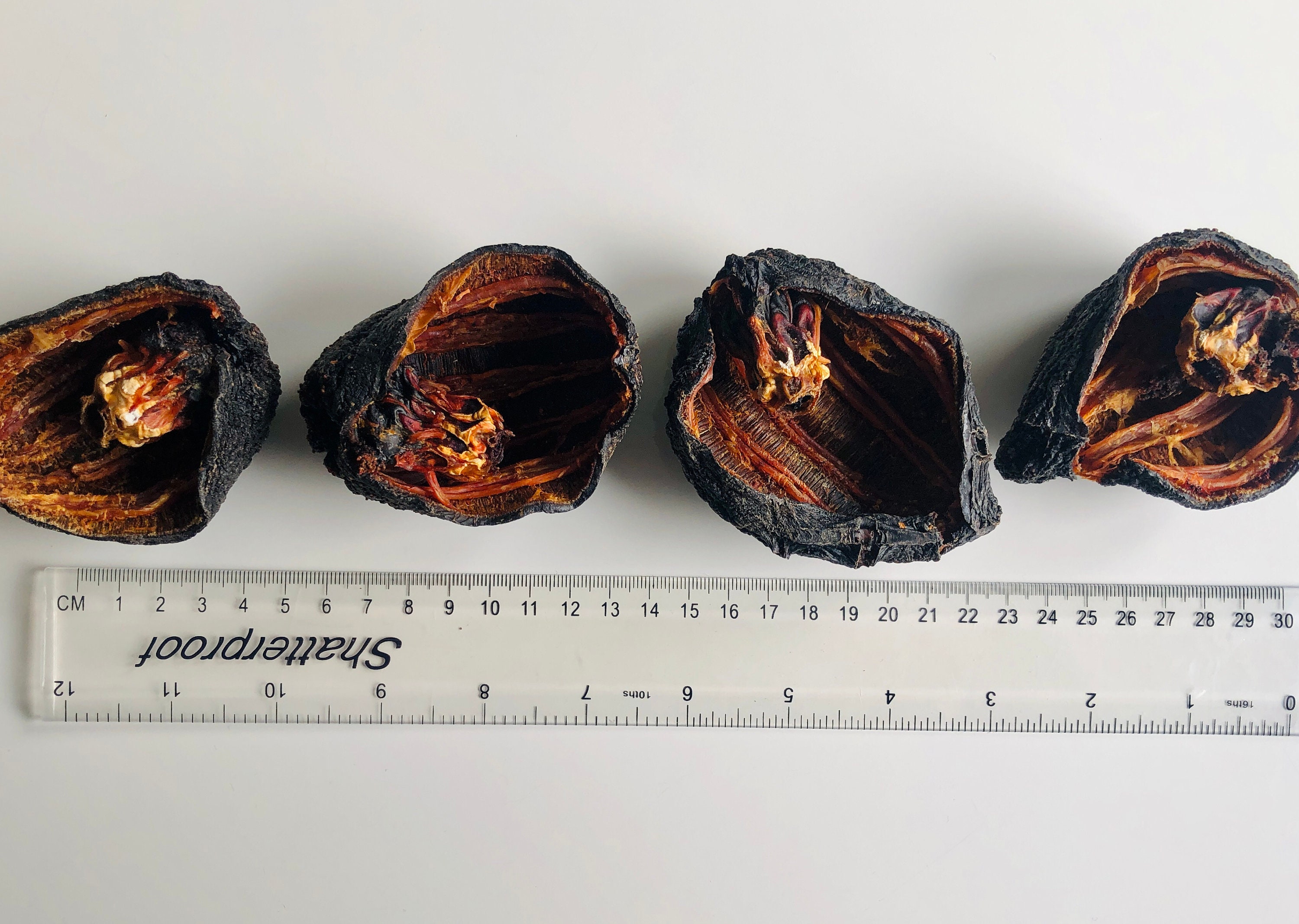 100 Organic Dried ICELANDIC Sea Cucumbers Authentic Product, 18 Types