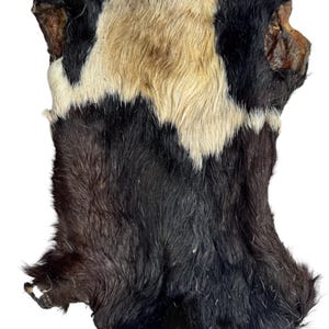 2X Top Quality Class A Extra Large Natural-Organic Air Dried Beef Skin Chew Treat Vitamins & Minerals