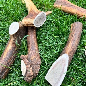 100% Natural Red Deer Antler Chews for Dogs - Long-Lasting Organic Treat Available in 3 Sizes Small, Medium, Large