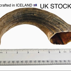 100% Natural Icelandic Lamb Horn Luxury Long lasting super tasty gift for your Dog or Puppy