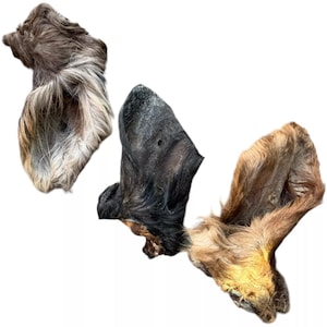 Natural Air-Dried Large Hairy Beef Ears - 3 Pack, High-Quality Dog Chews, Long-Lasting Treats, Ideal for Medium to Large Dogs