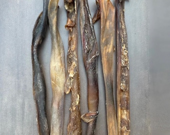 Camel Skin Sticks Pizzles Natural Vitamin & Mineral Source Chew 15cm Long 150g