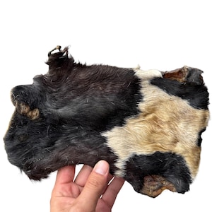 1X Extra Large Dog Chew Treat 100 Percent Natural And Organic Beef skin Gras Fed Beef Air Dried Chew