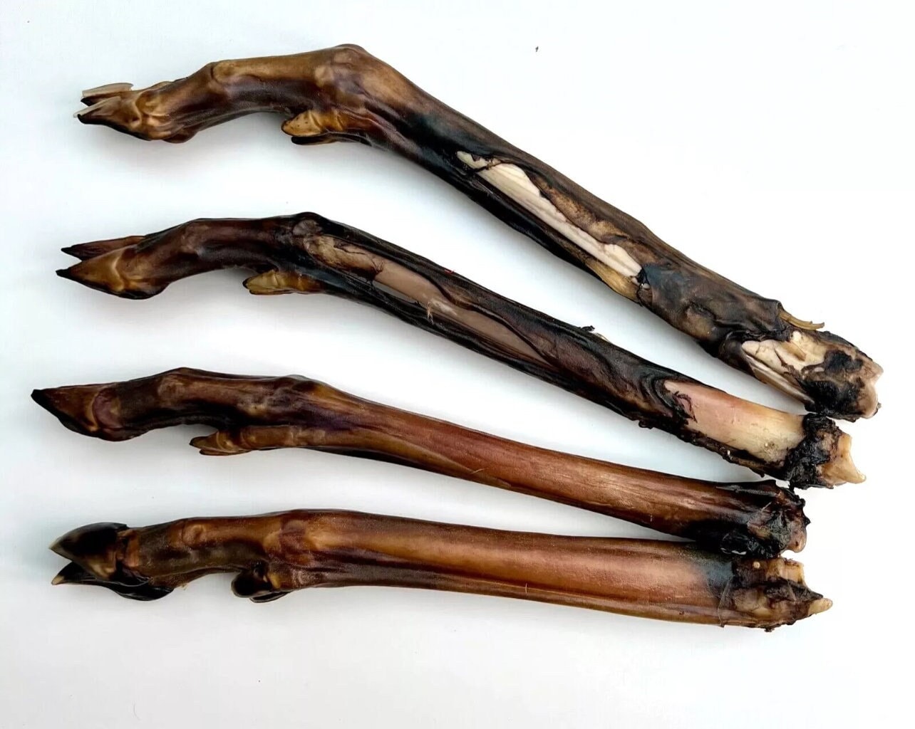Bison dog chews online