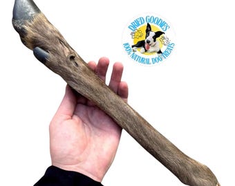 Large Hairy Deer Leg Dog Chew: All-Natural Long-Lasting Treat (18")