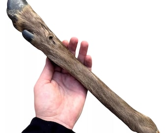 All-Natural-Organic Extra Large Deer Leg Dog Chew 18&quot; Hairy Deer Leg | Long-Lasting Dog Treat