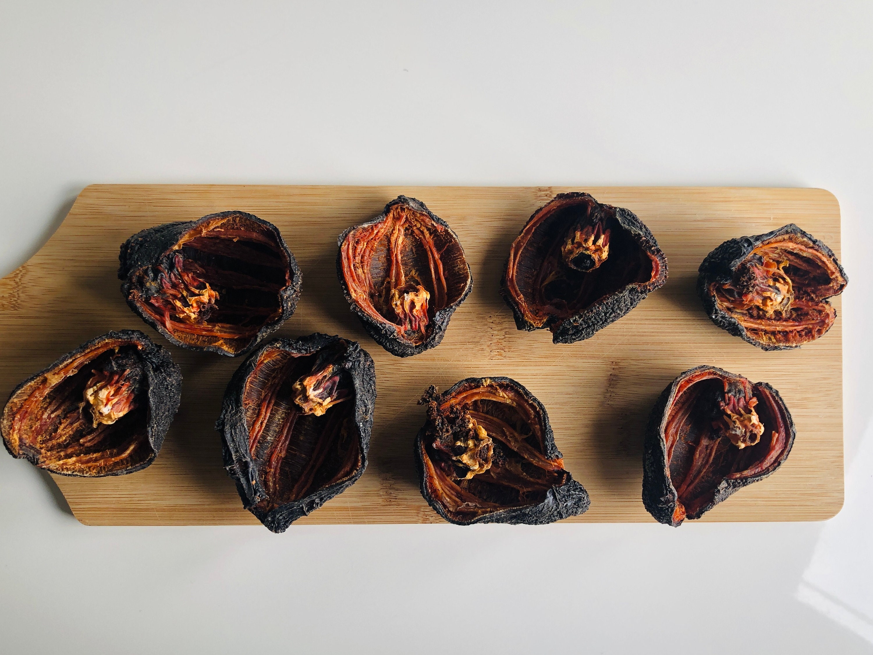 100 Organic Dried ICELANDIC Sea Cucumbers Authentic Product, 18 Types