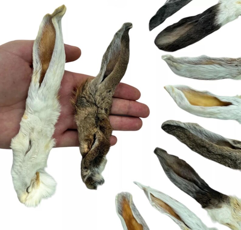 Natural Air-dried Hairy Rabbit Ears - Single-ingredient Crunchy Dog ...