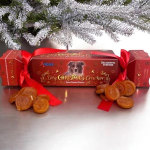 Op de afbeelding: Een rode en gouden kerstcracker voor honden met een feestelijke strik. De cracker heeft een hond op de voorkant en de tekst "Dog Christmas Cracker Tasty Turkey Treats". De cracker is gevuld met lekkere kalkoen traktaties voor honden.