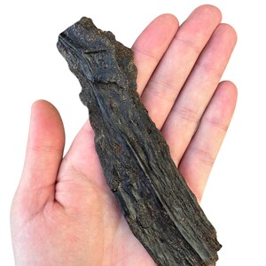 May include: A long, dark brown, dried beef chew for dogs. The chew is about 6 inches long and has a rough, textured surface.