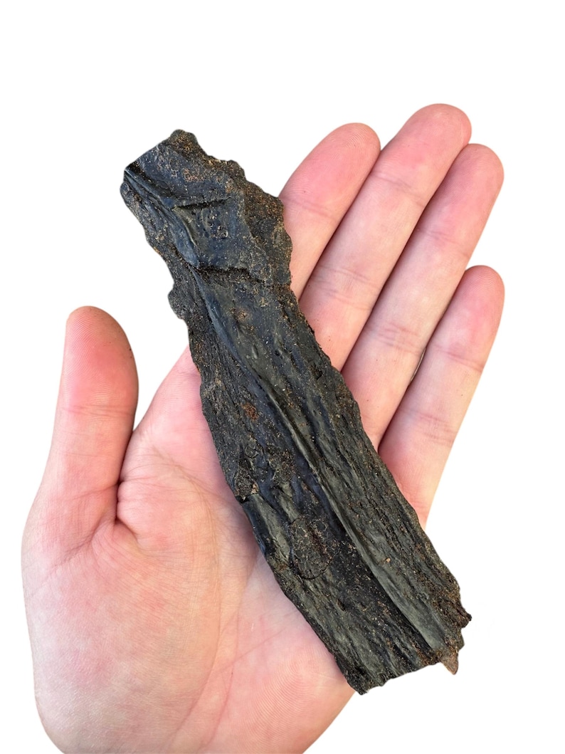 May include: A long, dark brown, dried beef chew for dogs. The chew is about 6 inches long and has a rough, textured surface.