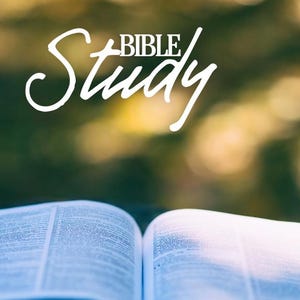 May include: An open book with white pages and visible columns of text. Above the book, the words BIBLE STUDY are written in a white, stylized script font. The background is a soft, out-of-focus blur of green and brown natural tones.