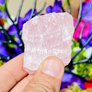 Può includere: Un grande cristallo di quarzo rosa grezzo di colore rosa pallido. Il cristallo è traslucido e ha una forma naturale irregolare. Il cristallo è tenuto in una mano su uno sfondo di fiori viola e rosa.