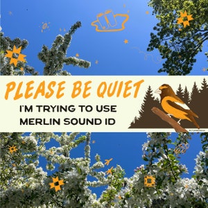 Pegatina para coche con identificación del sonido del merlín: regalo para amantes de las aves.