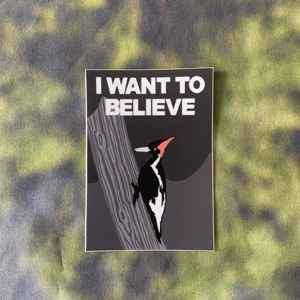 Ivory-billed Woodpecker - Believe Sticker - 2.5” x 3.54”