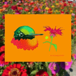 May include: An orange art print featuring a colorful hummingbird and a pink flower. The hummingbird has a green head, black beak, and red and orange feathers. The flower is pink with green leaves. The text "@LITTLE WARBLER GOODS" is in the bottom right corner.