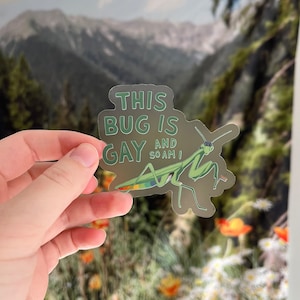 May include: A transparent sticker featuring a green praying mantis illustration with the text "THIS BUG IS GAY AND SO AM I". The sticker has a light green border and is held in front of a blurred background.