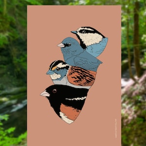 Carte postale Feeder Friends - 4 x 6 pouces représentant un tohi de l'Est, un bruant à gorge blanche, un junco ardoisé et une mésange des montagnes.