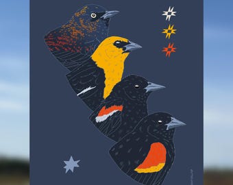 Carte postale Merle - 5 x 7 pouces (5 x 7 pouces) représentant un quiscale rouilleux, un quiscale à tête jaune, un quiscale tricolore et un quiscale à épaulettes.
