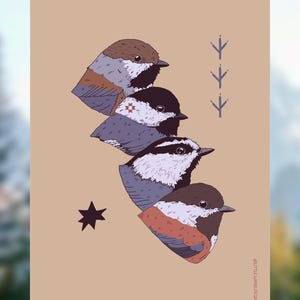 Carte postale mésange - 4 x 6 po. Carte postale représentant une mésange boréale, une mésange à tête noire, une mésange des montagnes et une mésange à dos marron.