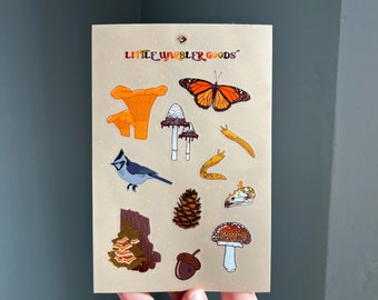 Nature Walk Sticker Sheet - 4”x6” sheet of twelve stickers for nature, bird, mushroom, and trail lovers