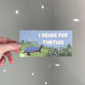 I Brake For Turtles sticker - Painted Turtle - bumper sticker for turtle lovers