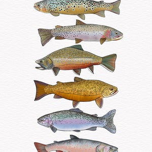 Colourful trout wall print