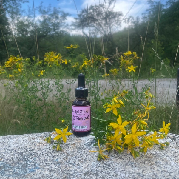 St. John's Wort Flower Essence