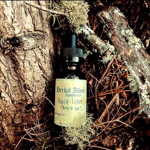 Usnea Lichen Herbal Tincture