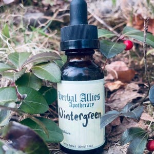 Wintergreen Herbal Tincture