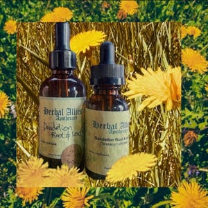 Dandelion Root & Leaf Blend Herbal Extract