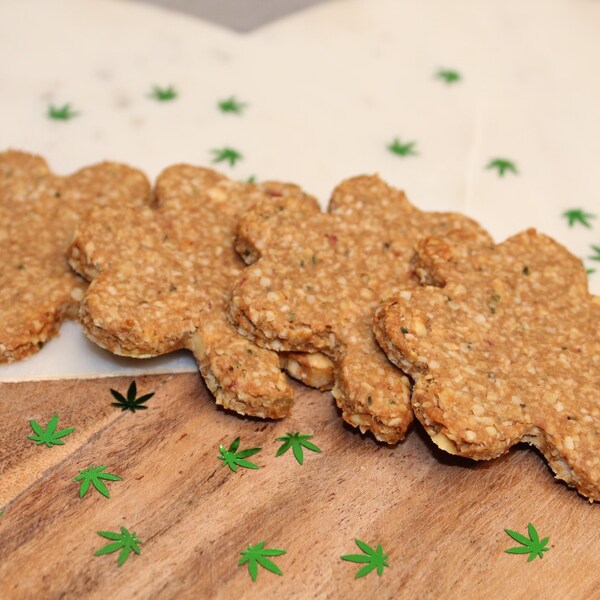 Gourmet Dog Treats Etsy