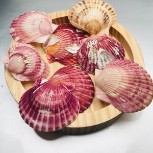 il_300x300.6783279490_nf3l.jpg