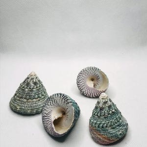 May include: A rustic wooden sign with the text "Welcome to our home" in a handwritten style. The sign features a distressed finish and a simple, inviting design, perfect for a front porch or entryway.