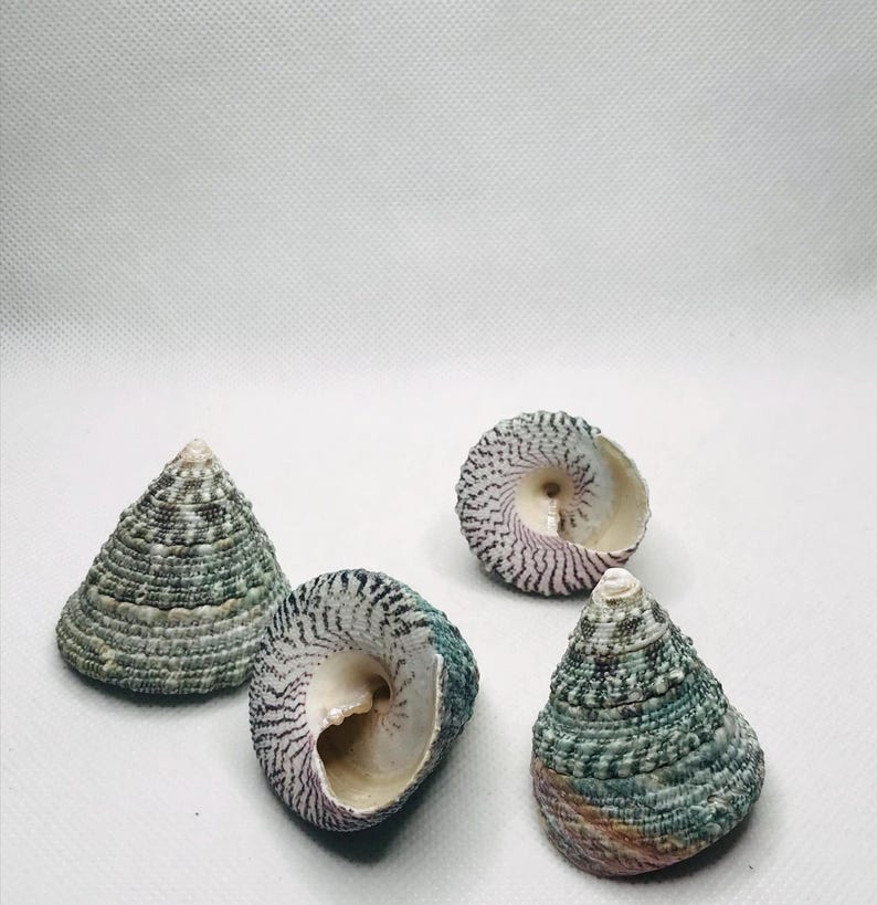 May include: A rustic wooden sign with the text "Welcome to our home" in a handwritten style. The sign features a distressed finish and a simple, inviting design, perfect for a front porch or entryway.