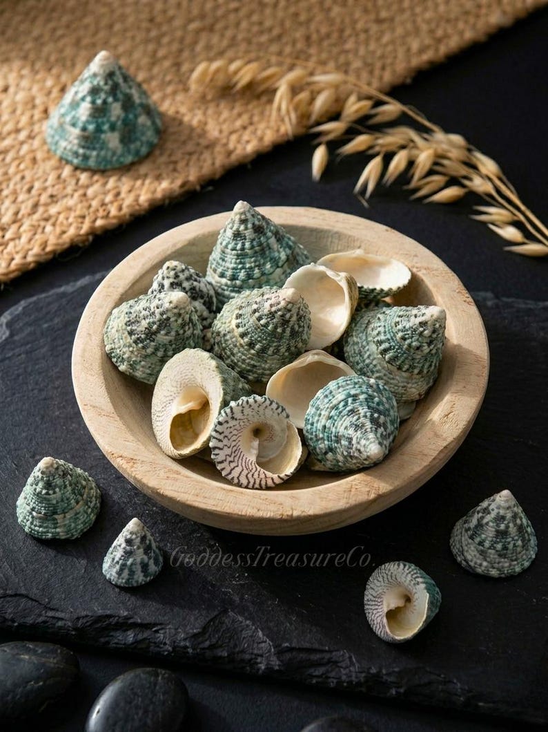May include: A wooden bowl filled with various sea shells, some open, revealing the interior. The shells are primarily green and white, with a textured surface. Some shells are scattered around the bowl on a dark surface. The background includes a woven mat and dried wheat.