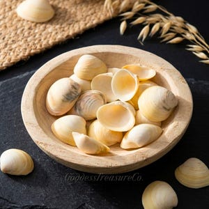 Könnte beinhalten: Eine Holzschale gefüllt mit cremefarbenen Muscheln. Einige Muscheln sind geöffnet und zeigen ein helles Inneres. Die Schale steht auf einer dunklen Oberfläche, mit ein paar verstreuten Muscheln. Der Text "GoddessTreasureCo." ist sichtbar.