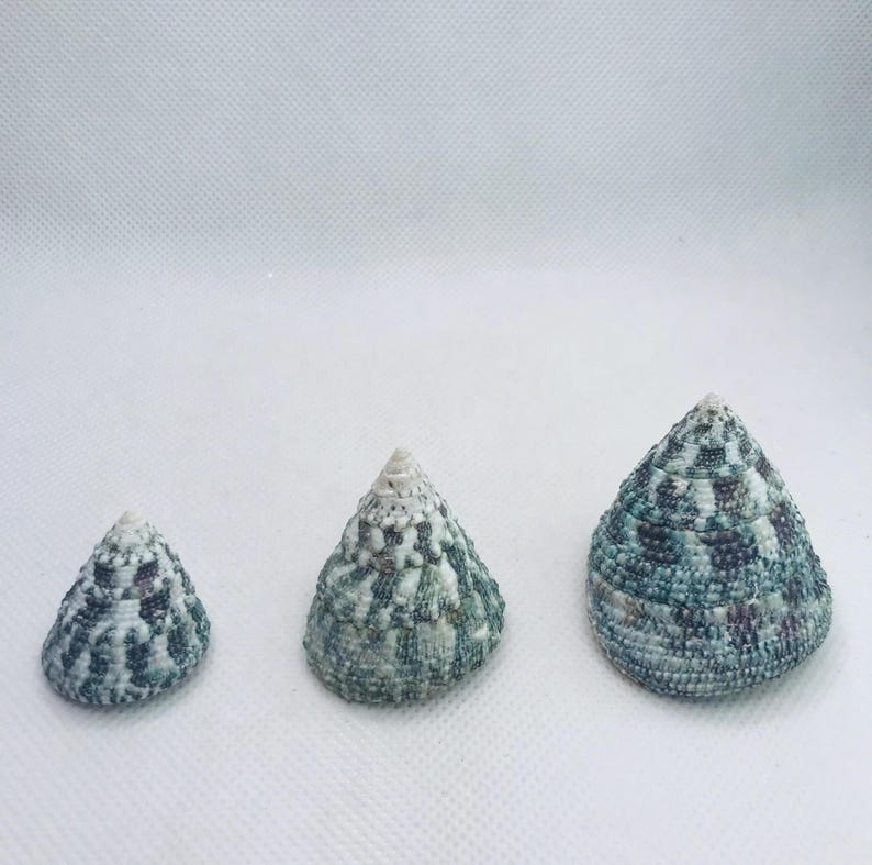 May include: A set of three ceramic mugs with a speckled, matte finish. The mugs are in shades of cream, light brown, and dark brown. Each mug has a simple, minimalist design and a rounded handle.