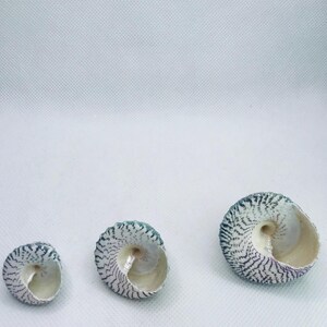 May include: A white ceramic mug with a black handle and the text "But First, Coffee" in a black, bold font. The mug is likely 4 inches tall and holds approximately 12 ounces of liquid. Perfect for enjoying your morning coffee.