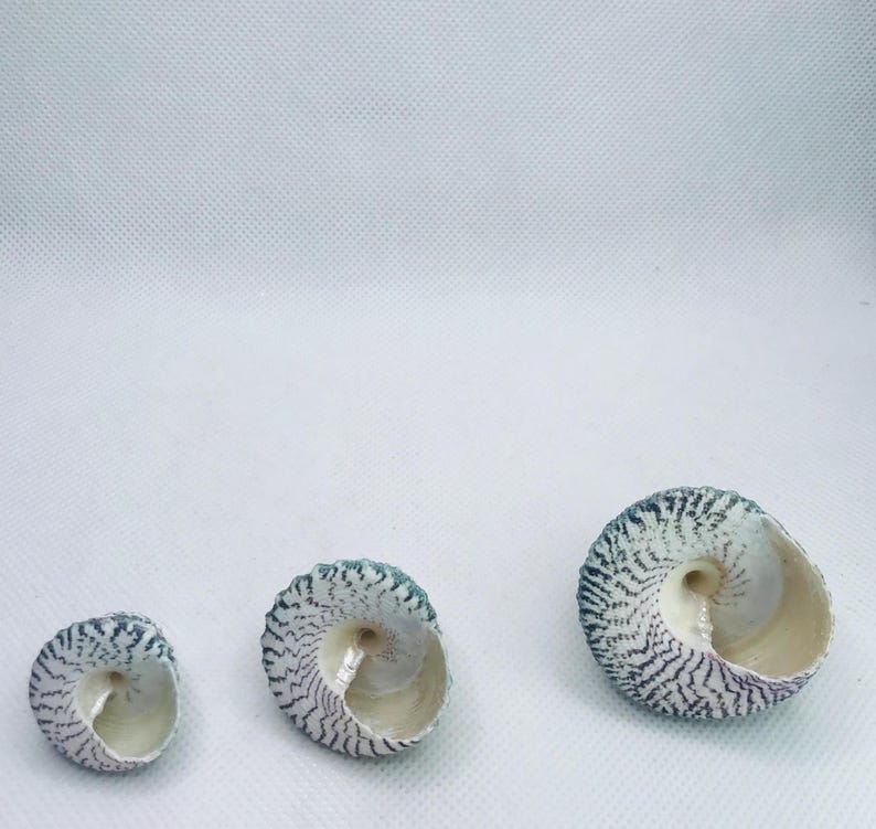 May include: A white ceramic mug with a black handle and the text "But First, Coffee" in a black, bold font. The mug is likely 4 inches tall and holds approximately 12 ounces of liquid. Perfect for enjoying your morning coffee.