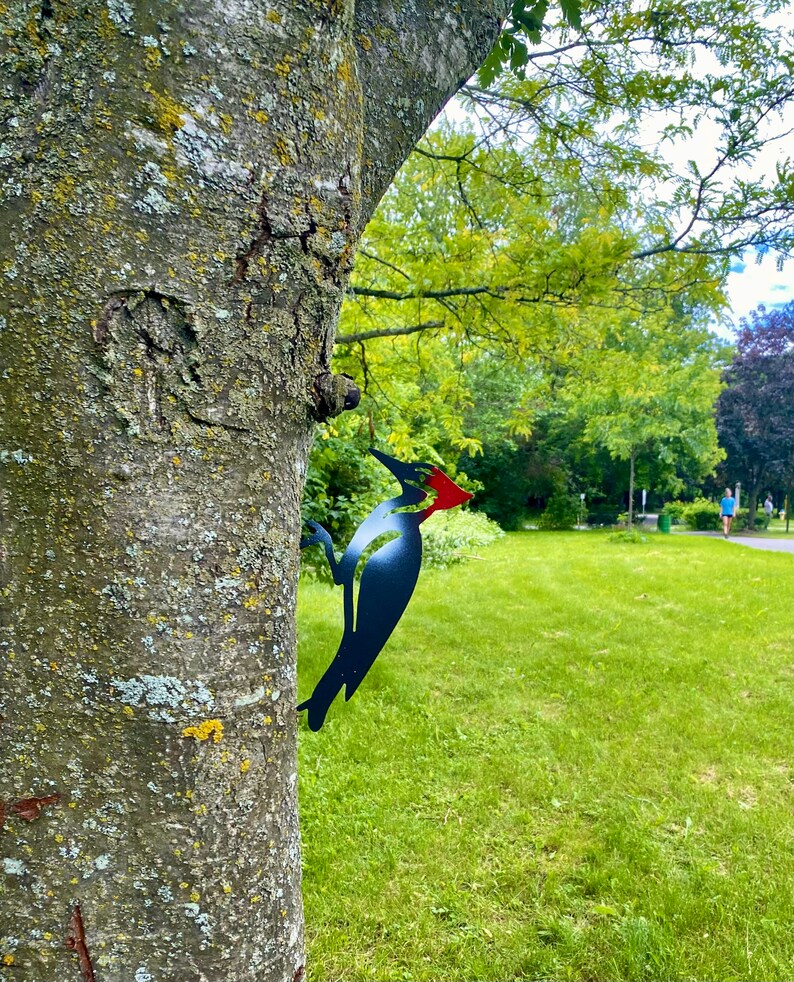 Metal Wood Pecker / wood pecker Bird / Coloured Bird / Tree Bird / Bird Decor / Metal Yard Art/ Home Decor /Cottage Decor /Canadian Gift image 4