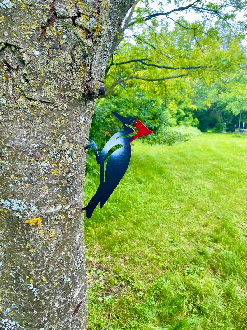 Metal Wood Pecker / wood pecker Bird / Coloured Bird / Tree Bird / Bird Decor / Metal Yard Art/ Home Decor /Cottage Decor /Canadian Gift image 1