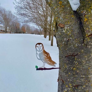 Barn owl metal bird / metal owl / metal owl bird / owl gift / barn own / bird for tree / gift for her / gift for owl lover / owl / Canadian