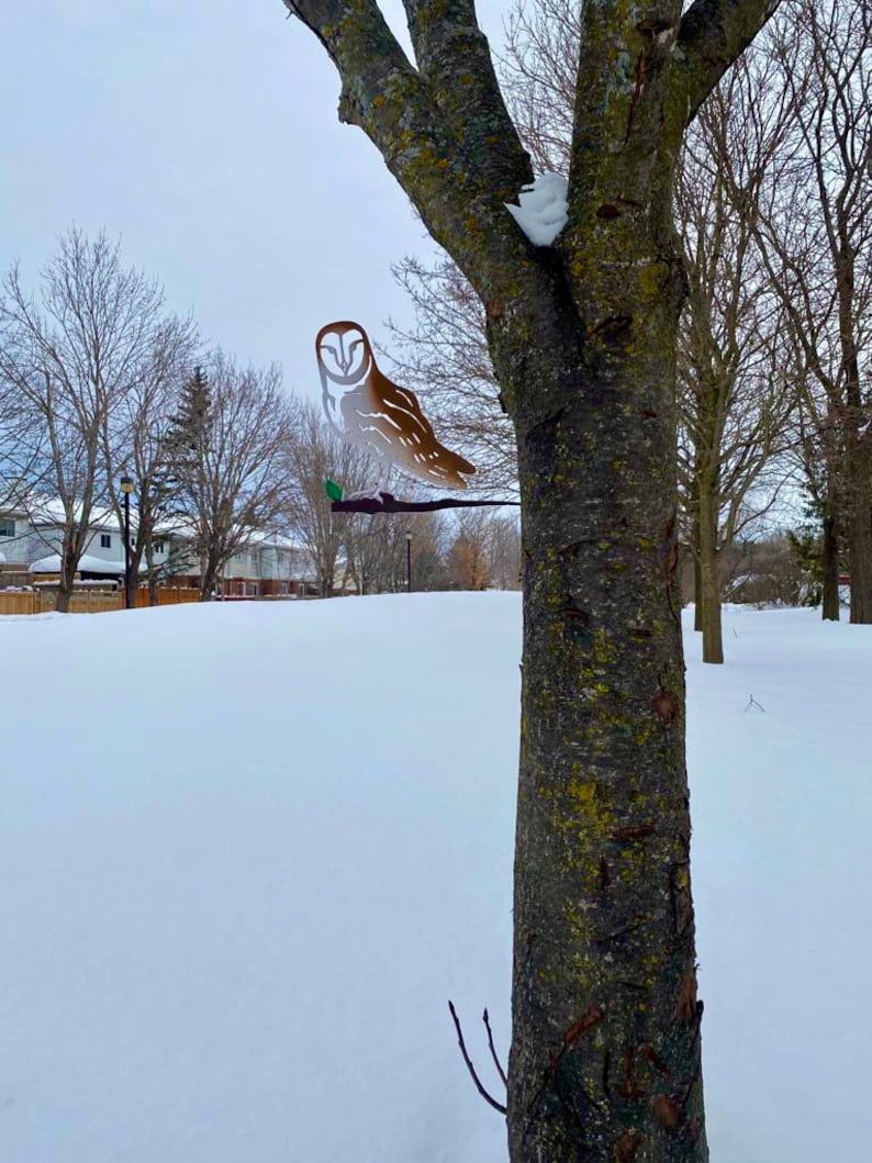 Barn owl metal bird / metal owl / metal owl bird / owl gift / barn own / bird for tree / gift for her / gift for owl lover / owl / Canadian image 2