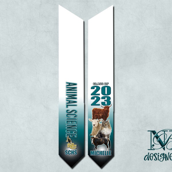 Class of 2024 Graduation Stole Etsy